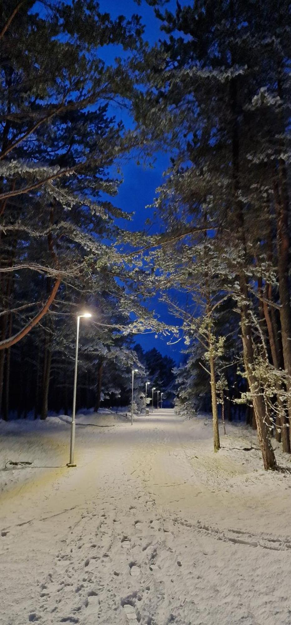Rasos Vila Palanga Exteriör bild